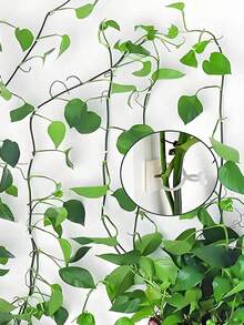 Bộ 100/50/30/10 chiếc kẹp cây leo tường, kẹp cây leo tường, dụng cụ leo cây xanh, kẹp cố định dây leo, móc leo, vòng kẹp màu xanh lá cây, dụng cụ cố định cây xanh không gây đau. - A - Xem 2