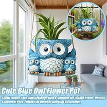 Chậu trồng cây hình cú đung đưa dành cho cây trồng trong nhà, một chậu nhỏ xinh xắn đựng cây mọng nước có lỗ thoát nước, một chậu nhựa độc đáo, hoàn hảo để trang trí sân vườn ngoài trời. - A - Xem 6