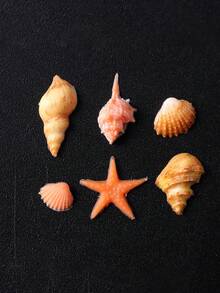 1個海灘貝殼夏季美甲矽膠模具 高浮雕海洋主題貝殼海星海螺模板 凝膠印花美甲模板工具 美甲沙龍DIY度假風美甲用品 可重複使用美甲印花工具 - 無色 - 查看 7