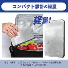 アウトドアキャンプ用ステンレス製バッグ クイック冷凍 長持ち再利用可能 ランチボックス 保冷保温 防漏トレイ 多目的バッグ アウトドアクーラーボックス ハイキング・トレッキング対応 キャンプ用品＆アクセサリー 冷却パック付き - シルバー - チェックする 7