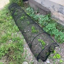 1个可折叠黑色网状花园隧道 - 防鸟防虫，果蔬防紫外线遮阳，适用于后院、农场和温室，耐用塑料材质，园艺网，植物保护网，园艺用品 - A - 查看 1