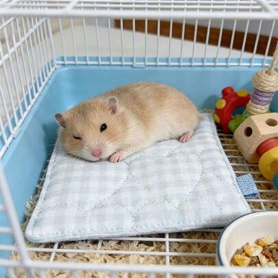 1 tấm đệm ngủ cho chuột hamster, thảm ngủ ấm áp và thoải mái cho thú cưng nhỏ, đồ dùng cho chuột hamster, thảm nhỏ cho chuột hamster vàng, thảm ngủ ấm áp cho chuột hamster, đệm ngủ thoải mái cho thú cưng nhỏ, vật dụng thiết yếu cho lồng thú cưng.