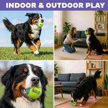 Outward Hound FlyFetch Squeak Ball Dog Toy, Extrau2011Loud Squeaker, Durable Foam Core, Floats In Water, All Breeds, 4" - 白色 - 查看 4