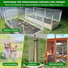Lattice - Length 10 Meters - Height 01 Meters - 02 - View 3