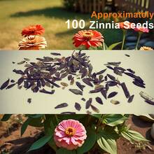 Flower Seeds - View 3