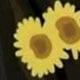 Multicolor