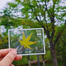1組 DIY 20/40片自黏式手工貼紙相框，亮面幾何設計葉子與花朵，可重複使用 PET 塑料貼紙，適合剪貼簿、手帳、居家裝飾（白色），書籤裝飾理想之選 - A - 查看 8