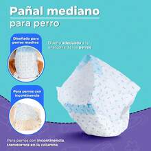Dry Pet PAÑALES CH P/PERRO - 12 PZ - CON - View 5