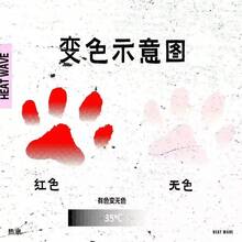 Hình dán xăm hình dấu chân mèo nhạy cảm với nhiệt độ, thiết kế dấu chân mèo đổi màu theo tâm trạng, bộ quà tặng dễ thương dành cho người yêu mèo. - Màu đỏ biến mất - Xem 5