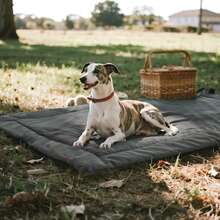 HAZOOWILL Foldable Portable Small/Medium Dog & Cat Bed, Suitable For Pets Under 77lbs, Lightweight For Outdoor Travel, Picnic, Sofa Pet Mat - Multicolor - View 13