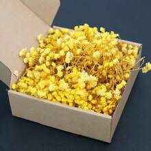HOSY 50/100 Pcs Pure White Artificial Daisy Flowers - Exquisite, Easy To DIY, Suitable For Wedding, Home And Office Decor, Parties And Gardens - Tabletop Bohemian Garland, No Feathers, No Electricity, Suitable For Christmas, Thanksgiving And Halloween Decorations, Home Christmas Gifts And Christmas Decorations - White Baby's Breath - View 5