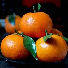 Flower Seeds - View 3