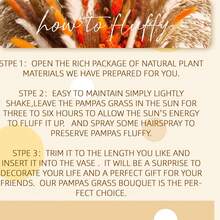 128pcs Autumn Elegance Dried Flower Bouquet - Preserved Gypsophila, Pampas Grass & Eucalyptus For Home & Office Decor | Perfect For Weddings, Parties & Seasonal Celebrations - Orange Color - View 9