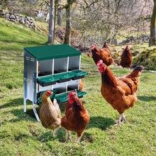 Techigher Heavy Duty Chicken Nesting Box, Automatic Roll-Away Egg Collection System, Galvanized Steel Hen Laying Box - Green, 6 Holes With Legs - View 3