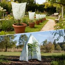 Paquete de fundas para plantas con protección contra el congelamiento de invierno con cierre de cordón tela reutilizable para exteriores invierno clima para arbustos árboles 3.6 x - Verde - Ver 6