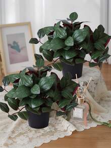 1盆仿真植物，15茎黄金葛吊兰，黑色花盆，PE材质。适合桌面装饰、学生宿舍和办公室装饰。仿真盆栽也适用于家居装饰、景观装饰、派对/节日装饰和生日派对装饰，四季皆宜，是送给植物爱好者的礼物，也是一份不错的纪念品。 - 綠色-A - 查看 5