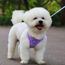 1 Set Chest Harness & Leash, Reflective, Accessory Attachment, ID Holder Design, Suitable For Medium Dogs & Cats - Lilac Purple - View 7