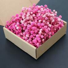 HOSY 50/100 Pcs Pure White Artificial Daisy Flowers - Exquisite, Easy To DIY, Suitable For Wedding, Home And Office Decor, Parties And Gardens - Tabletop Bohemian Garland, No Feathers, No Electricity, Suitable For Christmas, Thanksgiving And Halloween Decorations, Home Christmas Gifts And Christmas Decorations - White Baby's Breath - View 11