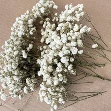 20/50/100/150/300 支迷你人造满天星及其他花卉 - 适用于树脂模具工艺品制作、彩色花束（可用于发饰、婚礼花环、餐桌装饰、家居装饰） - 象牙白花束（可用于发饰、婚礼花环、餐桌装饰及家居装饰） - 白綠色 - 查看 2