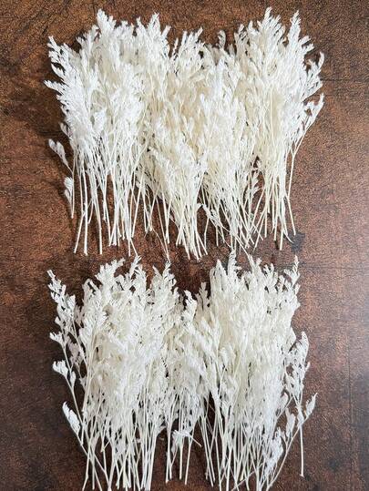 25/50/100/150/300 bông hoa giả mini hoa baby's breath và các loại hoa khác - Dùng cho khuôn nhựa, nghệ thuật và thủ công, bó hoa màu sắc dùng làm phụ kiện tóc, vòng hoa cưới, trang trí bàn, trang trí nhà cửa - Bó hoa màu trắng ngà dùng làm phụ kiện tóc, vòng hoa cưới, trang trí bàn và trang trí nhà cửa.