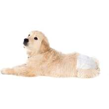 Dry Pet PAÑALES CH P/PERRO - 12 PZ - X-X - Ver 11