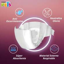Dry Pet PAÑALES CH P/PERRO - 12 PZ - CON - View 4