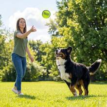 Outward Hound FlyFetch Squeak Ball Dog Toy, Extrau2011Loud Squeaker, Durable Foam Core, Floats In Water, All Breeds, 4" - 白色 - 查看 5