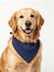 Cute Assorted Print Pet Bib Bandana Soft Cotton Dog Scarf - Multicolor - View 1
