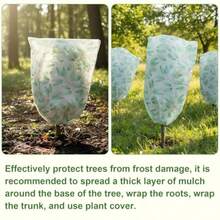 Paquete de fundas para plantas con protección contra el congelamiento de invierno con cierre de cordón tela reutilizable para exteriores invierno clima para arbustos árboles 3.6 x - Verde - Ver 5