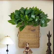1/2/3/4pcs Artificial Eucalyptus Leaves, Simulated Eucalyptus Branches, Suitable For DIY Floral Wall, Scene Arrangement, Living Room/Bedroom Vase Placement, Wedding Party Decoration, Desktop Decor. Autumn/Winter Fallen Leaves Can Be Used For Indoor Decoration, Home Decor, Kitchen Decor, Wedding Decor, Dining Table Decor, Center Piece, Office Decor, Garden Decor, Outdoor Decor, Father's Day/Mother's Day Gift - Green - View 10