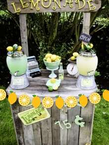 1 Set de Guirnalda con Tema de Limón, Pancarta Decorativa de Limón Amarillo, Adecuado para Decoración del Hogar, Cumpleaños, Baby Shower, Decoración de Verano con Limón - A - Ver 1