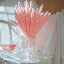 15/30/45/60/120pcs Pampas Grass Bouquet - Faux Fluffy White & Brown Rattan Decor, Suitable For Home, Vase, Room, Wedding, Party - Fit For Christmas, Halloween, Easter, Thanksgiving - No Electricity Needed, Enjoy The Good Life - Pink - View 2
