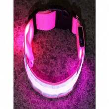 Collar Para Mascota Iluminado Con Luz Led y Bola Led RGB - Multicolor - Ver 11