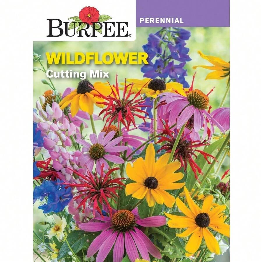 Flower Seeds - View 1