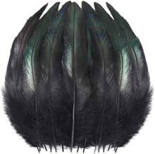 SOGUGOM Black Rooster Tail Feathers - 200 Pcs 5-7 Inch Craft Feathers Bulk For Craft Projects, Halloween, Hats And Cocktail Table Centerpieces(Black) - Màu A - Xem 1