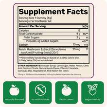 Fungies Lion's Mane Mushroom Gummies, Mixed Blueberry & Strawberry Flavor - Mushroom Supplement Gummy For Adults & Children , Cognitive Function, 60 Servings - Reishi - View 3