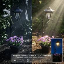 TazTir Solar Garden Stake Light W/ Flower Pot Holder - 8H Charge All Night Auto Glow - Waterproof Auto On/Off Pathway Decor - 太陽能 - 查看 5