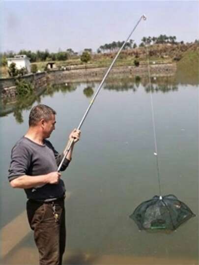 1 pièce Cage de pêche hexagonale, diverses spécifications disponibles, convient pour les étangs, les berges de rivière et la pêche en extérieur