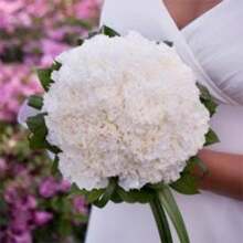 175 Graines de Fleurs d'Œillet Blanches - Faciles à Cultiver - Voir 4