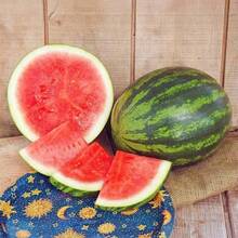 33 graines de pastèque Sugar Baby pour la plantation - Graines de fruits anciennes non-OGM de qualité supérieure pour la création d'un jardin domestique - Voir 5