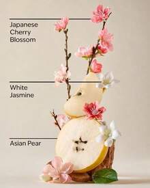 Bath and Body Works 日本樱花身体喷雾女士香水生日、毕业典礼、派对、旅行、露营、户外、学校、校园旅行、节日、夏季秋季礼物魅力氛围日常使用 - 日本櫻花 - 查看 3