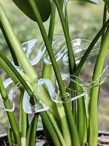 10/20入 有機玻璃葉形植物支撐夾，時尚透明植物支架，專為龜背竹及其他攀爬植物設計，有效固定並穩定植物莖部，保持葉片挺立，促進健康生長，極簡透明設計，適合室內外綠植與景觀布置，節日園藝裝飾必備 - 多款 - 查看 10