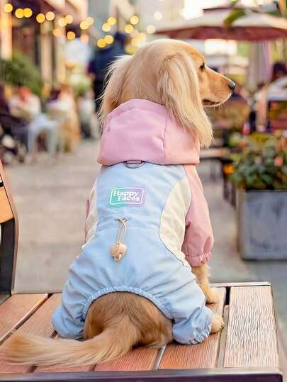 PETCIRCLE 1 bộ quần áo cho thú cưng mặc trong nhà và ngoài trời, kiểu Châu Âu và Hàn Quốc dành cho chó Poodle, Teddy, chó nhỏ và chó con, mèo - Màu hồng và xanh dương