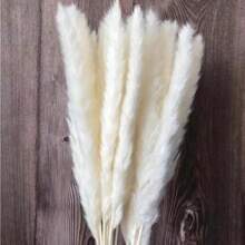 Flower Seeds - 查看 5