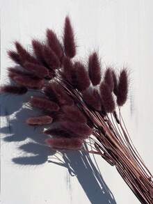 30~240pcs 17 Inch Multicolor Artificial Rabbit Tail Grass, Home Decor Artificial Rabbit Tail Grass Stems, Suitable For Bohemian Style Floral Arrangements, DIY Crafts, Home Kitchen And Wedding Decor, Christmas Decor - Dark Red Brown - View 3