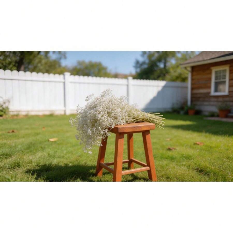 300 Graines de Gypsophile Tendance - Fleurs Délicates, Parfaites pour Bouquets et Pots d'Intérieur, Faciles à Cultiver - Voir 1