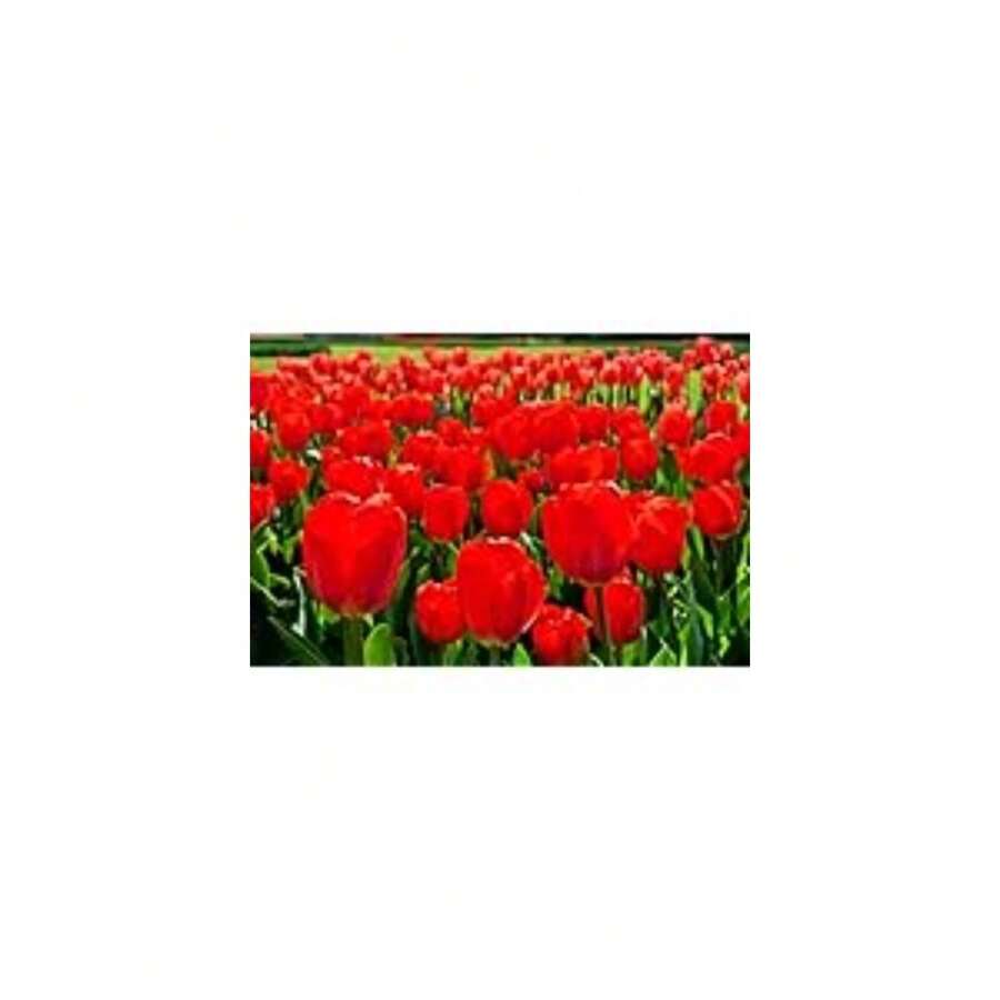 Semi di fiori - Visualizzare 1