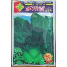 Plant Seeds - View 2