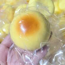 1个奶黄月饼造型慢回弹橡皮泥捏捏乐，超柔软材质，慢回弹减压玩具，完美的生日/惊喜/节日/圣诞礼物 - 彩色 - 查看 5