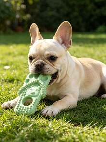 Đồ chơi gặm cho chó hình dép, chống cắn, bền và tiện dụng, chất liệu phù hợp cho chó nhỏ, vừa và lớn, đồ chơi gặm lý tưởng. - Nhiều màu - Xem 3